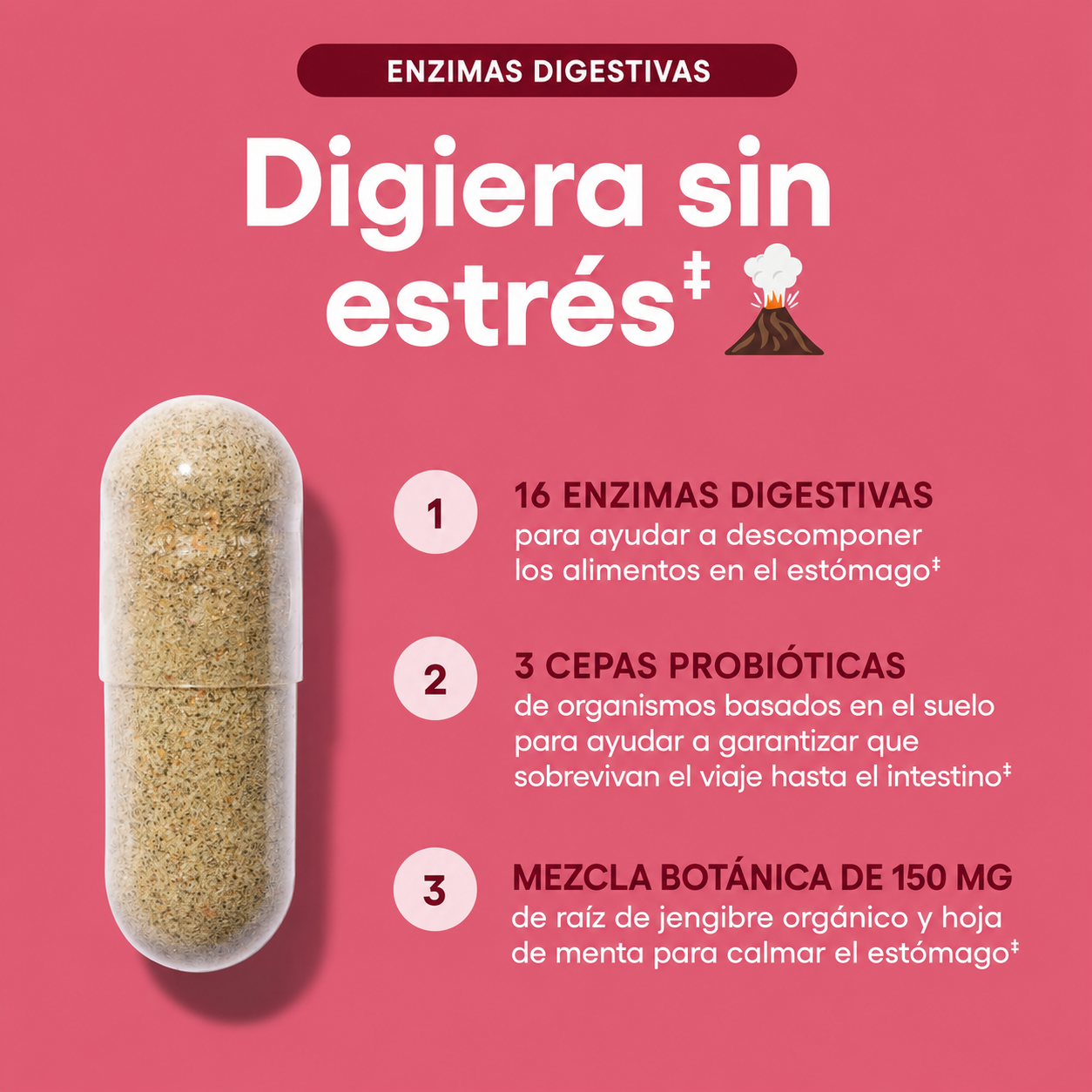 PHYSICIAN'S CHOICE ENZIMAS DIGESTIVAS para la hinchazón y la digestión - Fórmula de 16 enzimas de acción rápida con prebióticos orgánicos y probióticos para la salud intestinal y digestiva - Alivio de molestias a la hora de comer - 60 CT